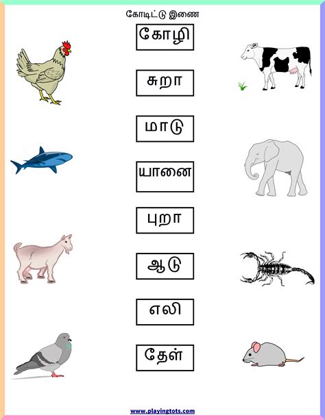 Games The Best Grade 1 Maths Worksheets In Tamil References