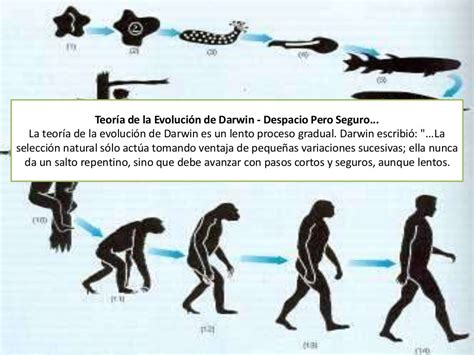 Teoría De La Evolución De Charles Darwin Unidad Educativa Luciano An