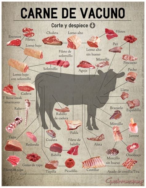20 Infográficos que te servirán si eres un novato en la cocina Meat