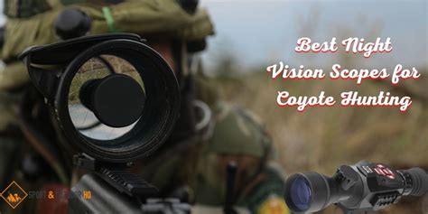 Best Night Vision Scopes For Coyote Hunting 2022 Reviews