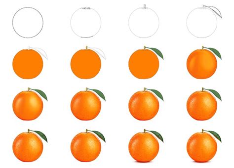 How To Draw An Orange A Juicy And Realistic Orange Drawing Tutorial