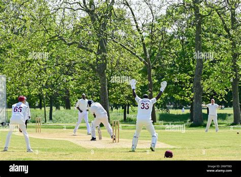Cricket Batting Bowler Action Cricket Game In London Park Game Batsman