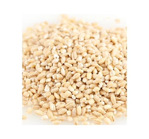 Organic Hulled Barley 25lb