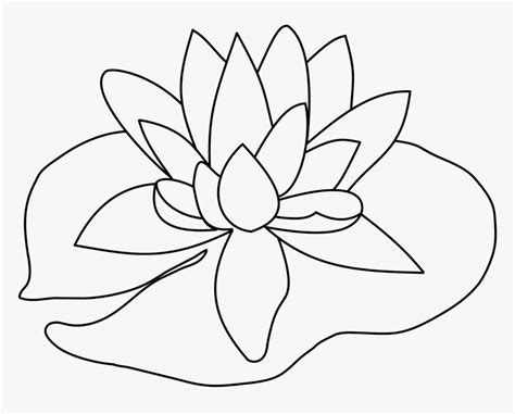 How To Draw A Lily Pad Flower Easy Lineartdrawingslove