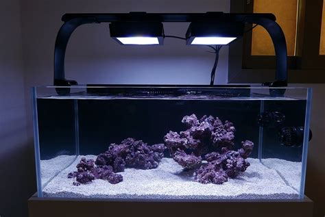 Build Thread Set Up My New Shallow Reef Tank 800x450x350mm