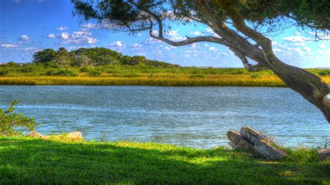 Free Images Tree Grass Wilderness Meadow Lake River Pond Inlet