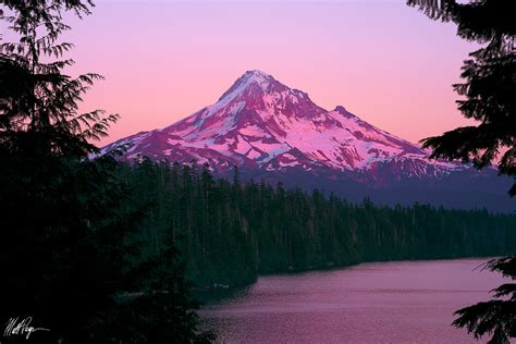 Mount Hood At Sunset 2014 Lost Lake Oregon Fine Art Landscape