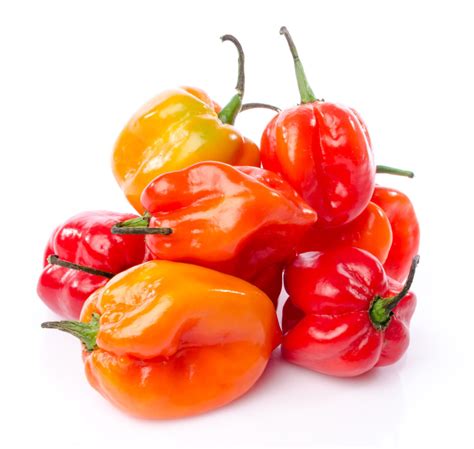 Crystal Valley Habanero Peppers - Crystal Valley