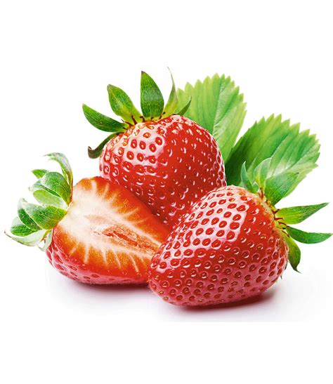Erdbeer-Minze | Sonderartikel bei BALDUR-Garten