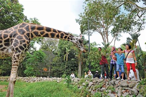 *htm tiket maharani zoo & goa. Harga Tiket Zoo Melaka Utk 2020 + DISKAUN