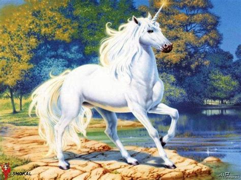 White Unicorn Illustration Fantasy Art Animal Themes Horse Wallpaper