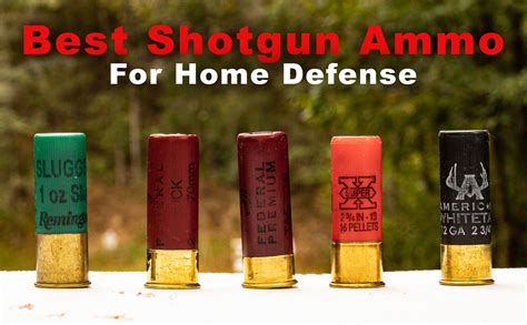 Best Shotgun Round For Home Defense Hot Sex Picture