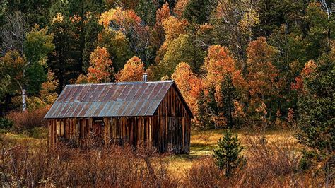 Hope Valley California Shed Leaves Fall Landscape Autumn Trees
