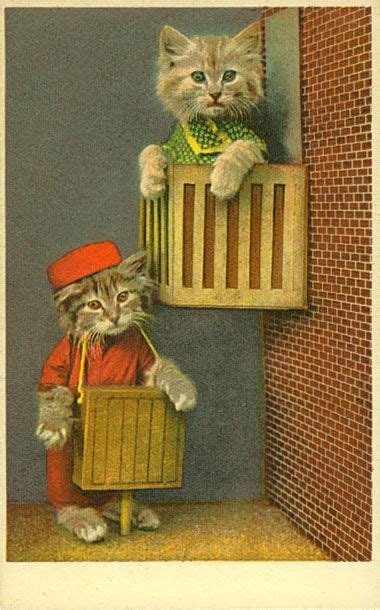 Vintage Cats Beautiful Cats Animals Beautiful Cute Animals Cats Meow