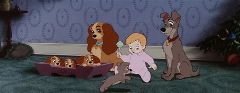 Lady And The Tramp 1955 Disney Screencaps Lady And The Tramp