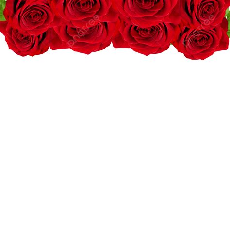 A Frame Of Distinctive Red Flowers Vintage Rose Flowers Rose White