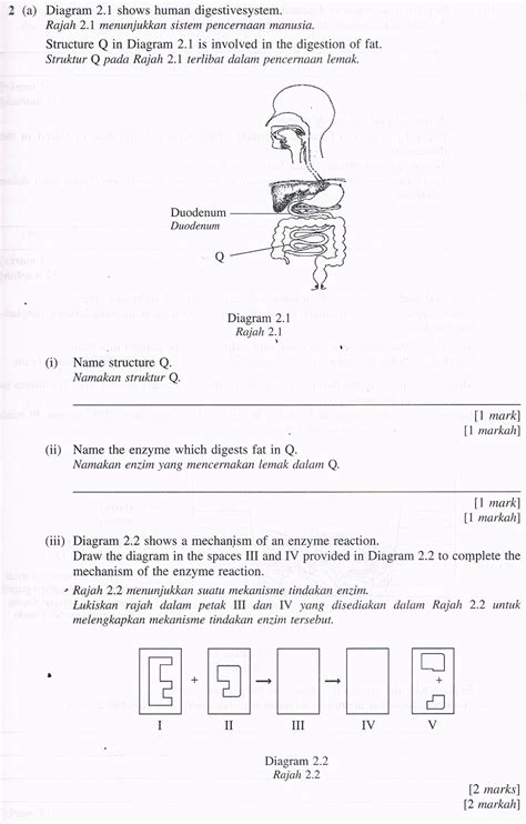 Compiled by miss ng @ www.epitomeofsuccess.com. SPM Biology Past Year Paper Year 2006 Question 2 Paper 2 ...