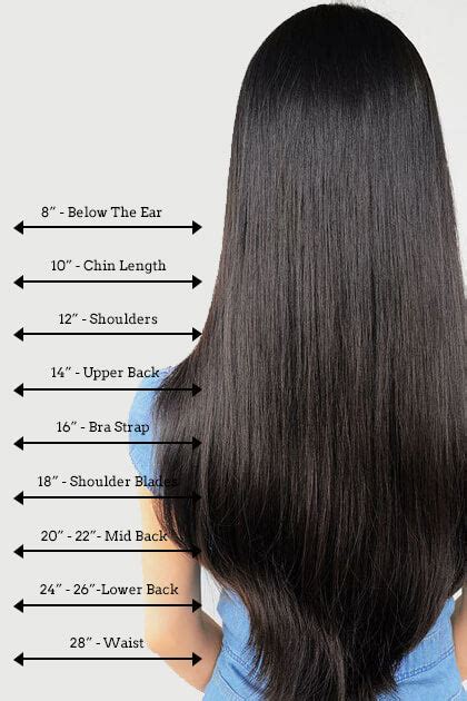 22 Wig Hair Length Chart Leopariniti