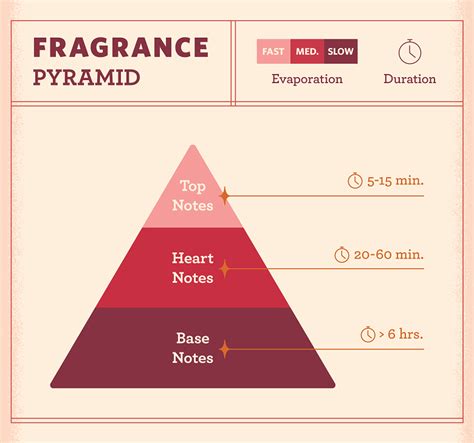 Fragrance Notes Everything You Need To Know Fragrancex