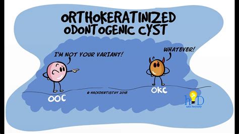 Orthokeratinized Odontogenic Cyst OOC YouTube
