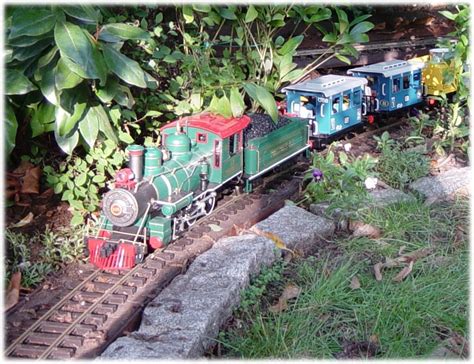 Lgb Model Trains That Run Through Your Garden Outside Model Trains