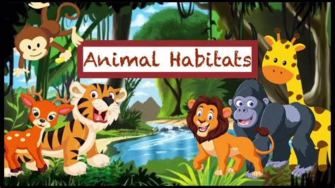 Animals And Their Habitats Youtube