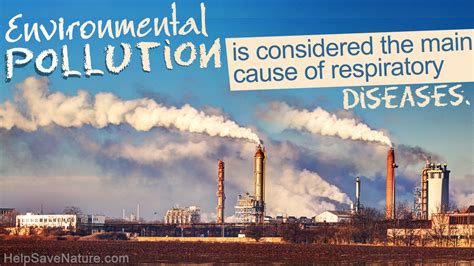 Pollution De Leau Causes Et Conséquences