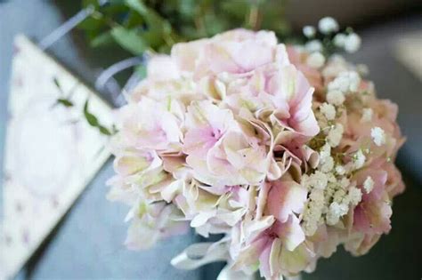 Pink Hydrangea With White Gypsophila Pew End Lovingly Crafted By