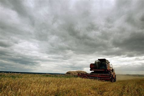 Russias Agricultural Sector Shows Impressive Growth Sectors