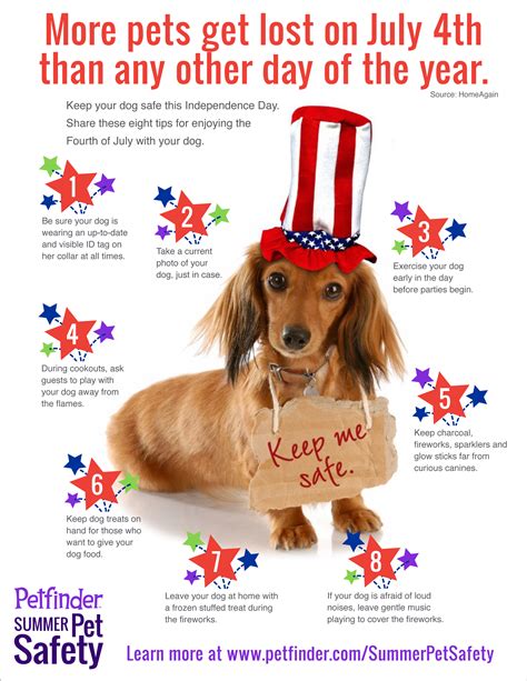 Keep Your Dog Safe 4th Of July Animal Clinic In Little Rock