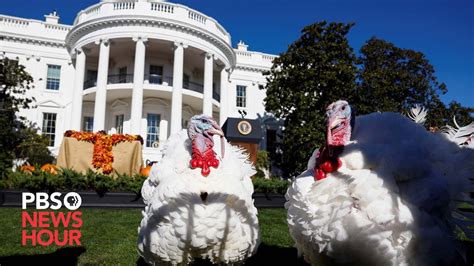 the history of the presidential turkey pardon youtube