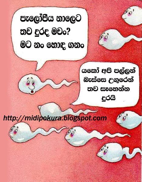 Lovehut Sinhala Jokes