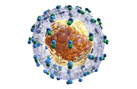 Bunun yanında tedavisi nedenlerine bağlı olarak yapılmalıdır. The 10 Deadliest Viruses | Planet Deadly