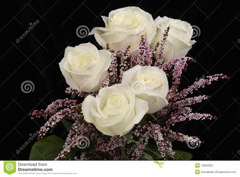 White Roses Stock Photo Image Of White Wedding Bloom 15854952