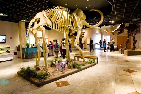 The Top Museums In Phoenix