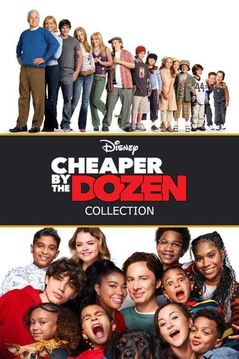 Cheaper By The Dozen 2003 Collection Scott Morris The Poster
