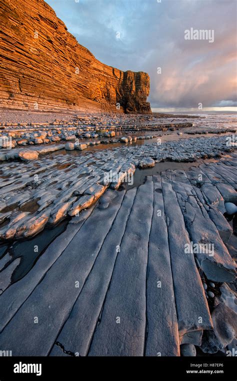 Wave Cut Platform Of Jurassic Lias Beds At Nash Point On The Glamorgan