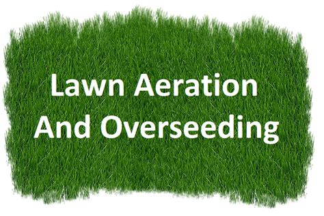 What are the best methods and tools? Aeration & Overseeding Near Me | PLOWZ and MOWZ