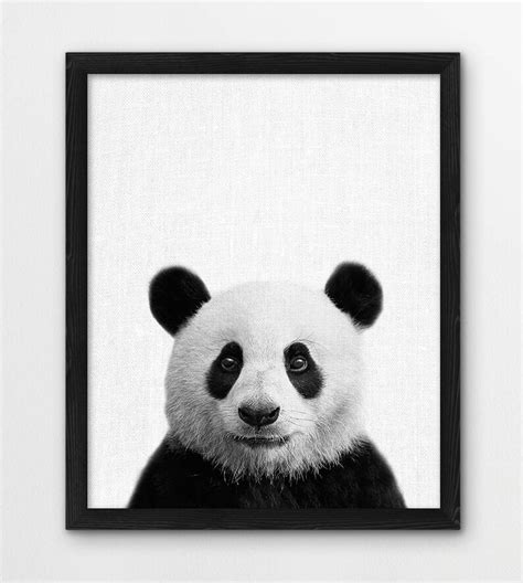 Panda Print Cute Panda Bear Photo Print Woodlands Animals Etsy