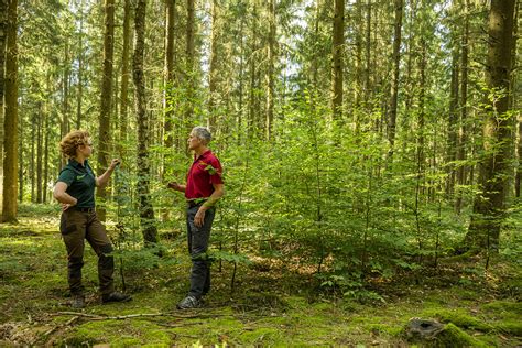 Landesforsten Rheinland Pfalz Lädt Zum Internationalen Tag Der Wälder