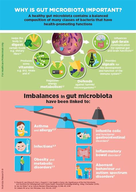 Roles Of Gut Microbiota For Health And Disease Danone Research And Innovation