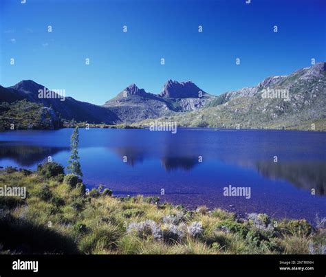 Australia Tasmania Cradle Mountain And Dove Lake Reflection Stock