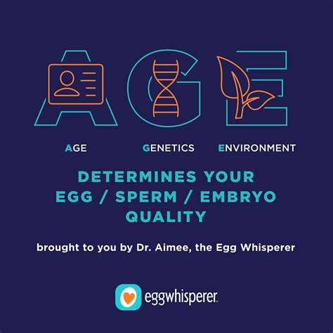 How To Improve Egg Sperm And Embryo Quality By Draimee Eyvazzadeh Medium