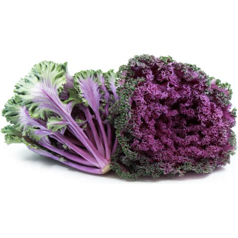 Red Kale