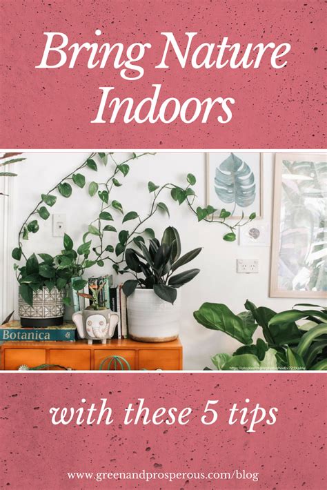5 Tips To Bring Nature Indoors — Green And Prosperous