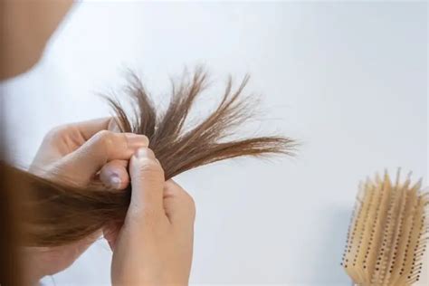 Jak I Czym Czesać Włosy Drmax Drogeria