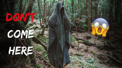 Top 10 Haunted Forests In The World Strange But True Medium