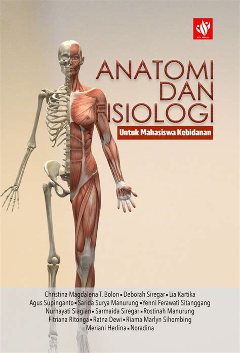 Anatomi Dan Fisiologi Sistem Reproduksi Manusia Gambaran