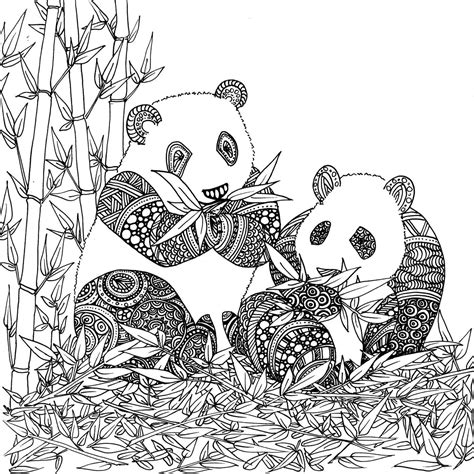 Disegni Di Panda Da Colorare Wonder Day — Disegni Da Colorare Per