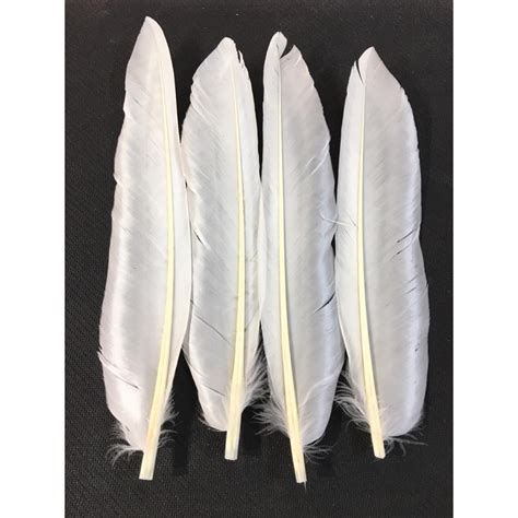 Turrall Duck Wing Quills